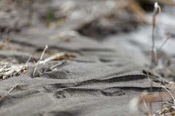 Sand and grass in summer outdoors during day