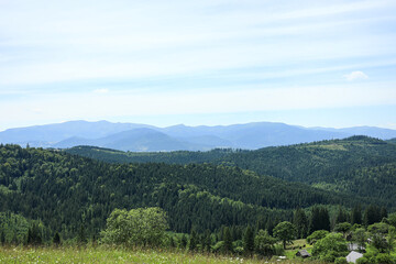 Mountain landscape with forest in Carpathians, Ukraine