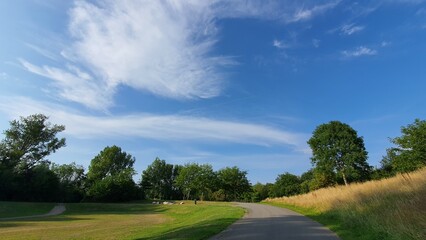 Obraz premium A curve pathway in a park