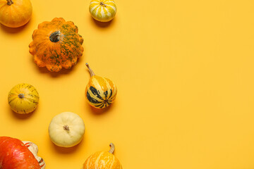 Fototapeta na wymiar Different fresh pumpkins on orange background
