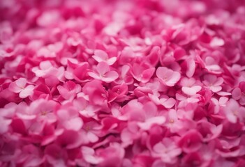 Obraz premium Cherry Blossom Petal Pile Pink Background