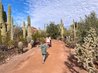 A mother and daughter walking through a beautiful cactus garden in the Desert Botanical Garden, in...