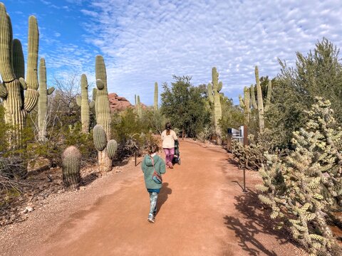 A mother and daughter walking through a beautiful cactus garden in the Desert Botanical Garden, in Phoenix, Arizona