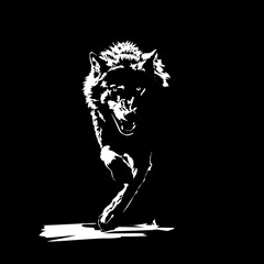 wolf on a black background