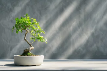 Deurstickers Bonsai tree in a minimalist setting with soft lighting © furyon