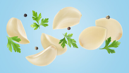 Fototapeta premium Fresh garlic cloves, parsley and peppercorns falling on light blue background, banner design