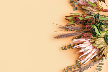 Beautiful pink protea flower on beige background