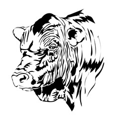 black outline of a bull on a white background