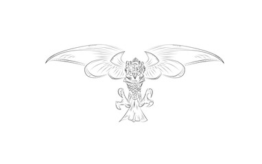 eagle sketch on white background