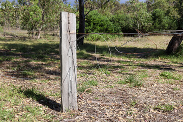 old fence post and tangled wire in field