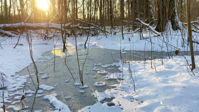 Frozen small river covered with snow in a forest winter season