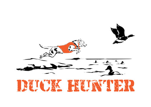 dog hunting ducks on the lake