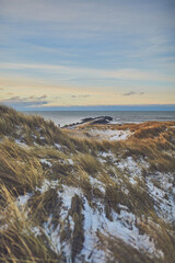 Snowy dunes at Danish beach on cold winter day. High quality photo - 730429434