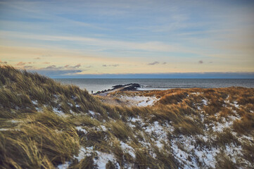 Snowy dunes at Danish coast on cold winter day. High quality photo - 730429656