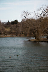 Early Spring Season In Bucharest Park Landscape