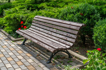 Weathered wooden bench gracefully adorns a rustic brick walkway, inviting moments of quiet contemplation amidst the passage of time.