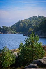 Fototapeta premium lake and coastshore