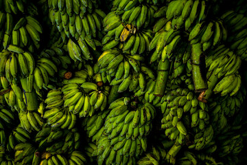 background of green bananas