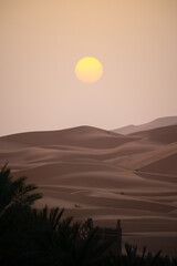 sunset in the desert
