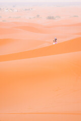 sand dunes in the desert - 730433259
