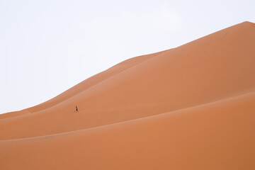sand dunes in the desert - 730433260