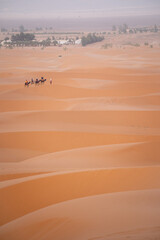 landscape in the desert - 730433277