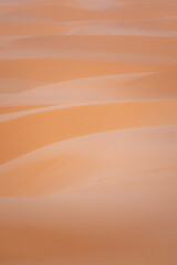 dunes in the desert of morocco - 730433283