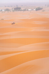 sand dunes in the desert - 730433289