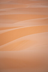 dunes in the desert of morocco - 730433291