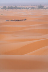 sand dunes in the desert - 730433295