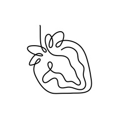 One line art style strawberry