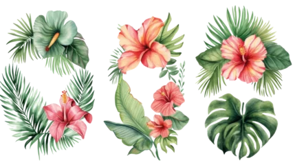 Foto op Plexiglas Watercolor floral illustration frame, Tropical flowers, green leaves isolated transparent background. PNG Format. © Media Srock