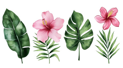 Obraz premium Watercolor floral illustration frame, Tropical flowers, green leaves isolated transparent background. PNG Format.