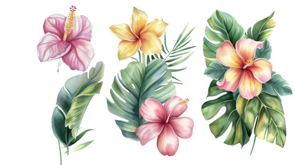 Watercolor floral illustration frame, Tropical flowers, green leaves isolated transparent background. PNG Format.
