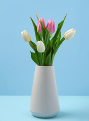 Vase with beautiful tulips on blue background. International Women's Day