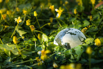 Glass globe in nature. Earth Day environment care concept. Nature protection green Earth in green forest moss with sunlight.
