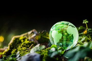 Glass globe in nature. Earth Day environment care concept. Nature protection green Earth in green...