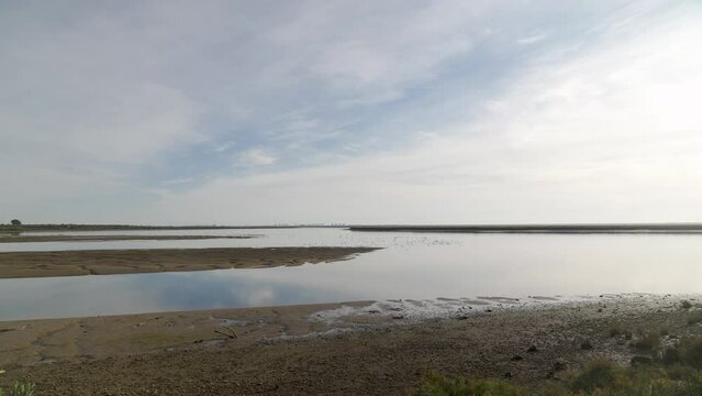 sequ&iacute;a en las Marismas del Odiel, Huelva, Andaluc&iacute;a. Abril de 2024.