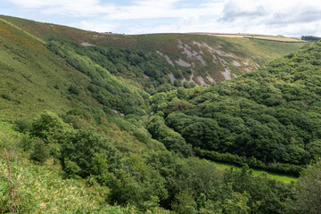 Fototapeta na wymiar Landscape photo of the Doone valley in Exmoor