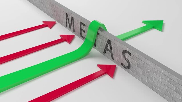 METAS Setas 3d