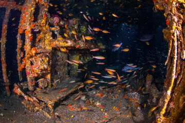 Schools of fusiliers and other tropical fish inside the control room of HMAS Brisbane