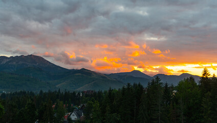 mountain view forest landscape Poland Zakopane © Андрей Трубицын