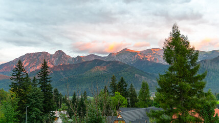 mountain view forest landscape Poland Zakopane © Андрей Трубицын