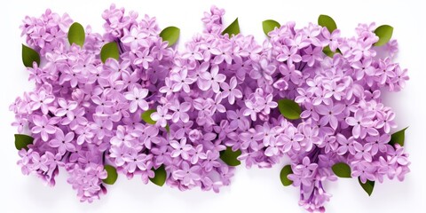 Lilac square isolated on white background