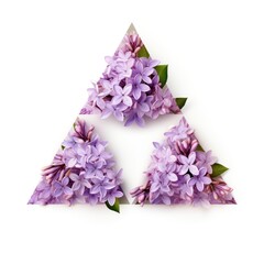Lilac triangle isolated on white background