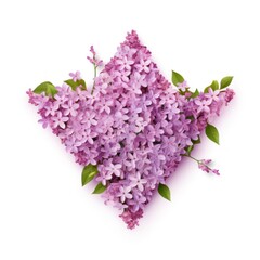 Lilac triangle isolated on white background