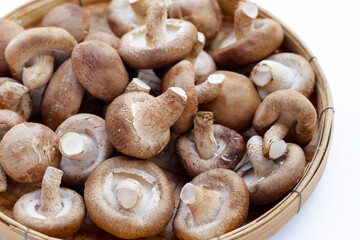 Fresh shiitake mushrooms on white background.