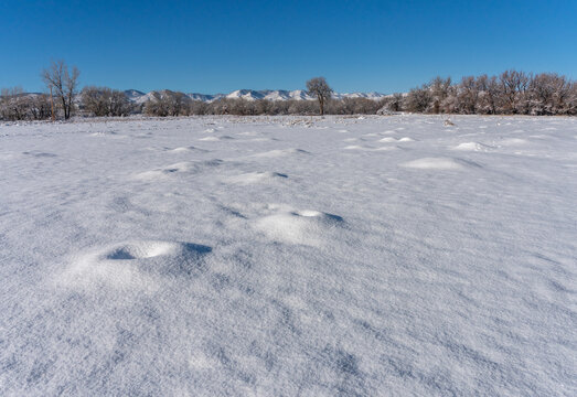 Snow Covered Prairie Dog Burrows with Distant Mountains and Blue SKy