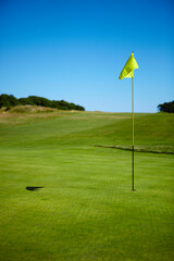 Golf Putting Green With Flag in Hole, Vertical
