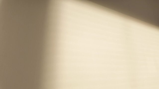 Minimalist Light and Shadow Play on Neutral Wall